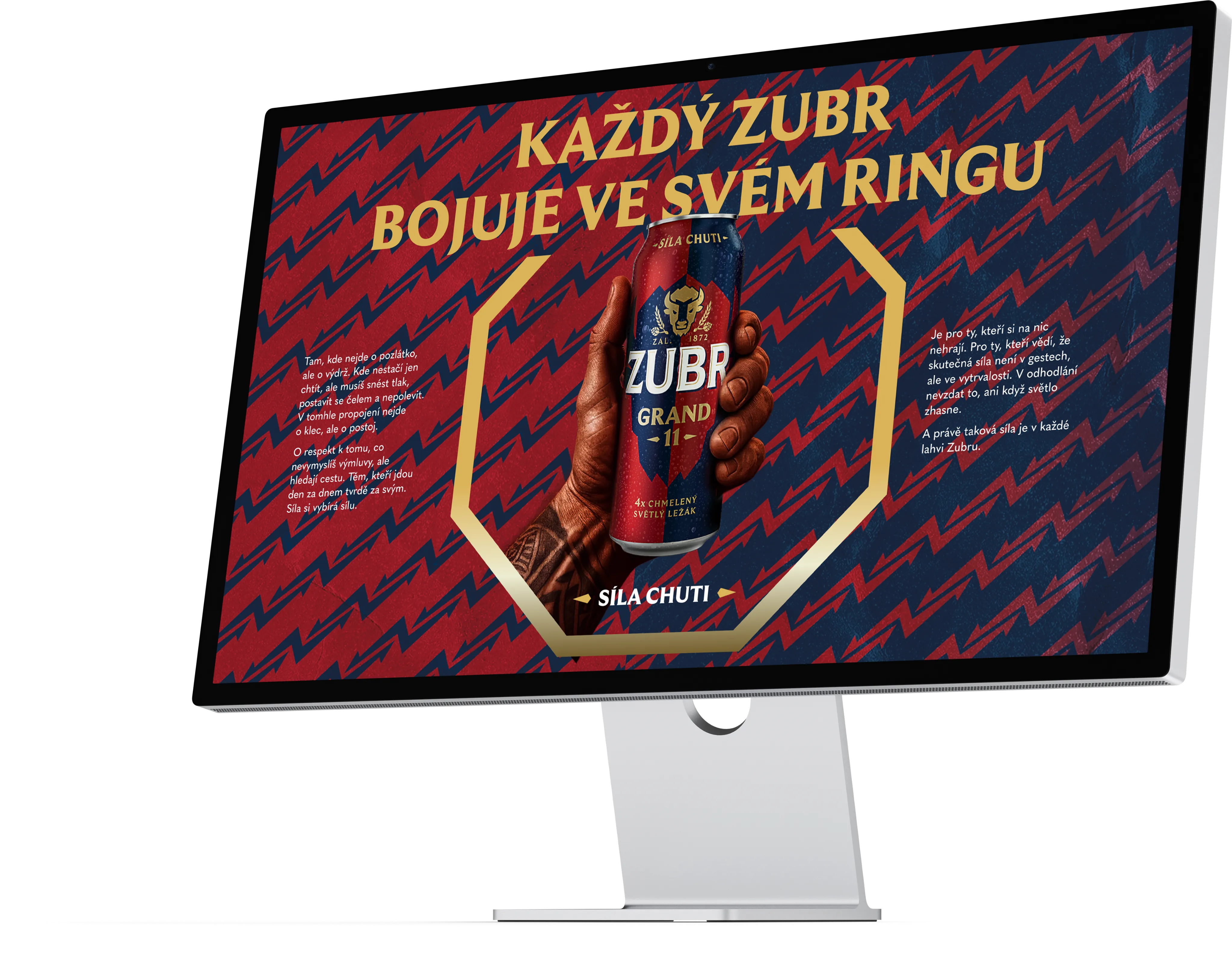 Zubr brand identity hero